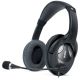 Headphones with microphone SVEN AP-670MV black